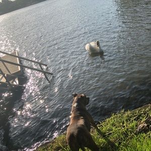 Meet your Posher, Bianca